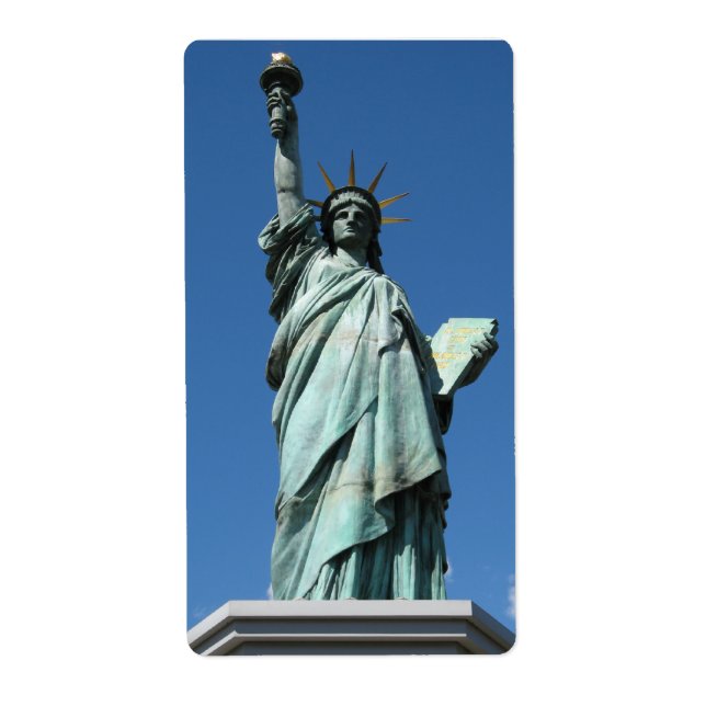 Statue of Liberty, Odaiba, Tokyo, Japan (Front)