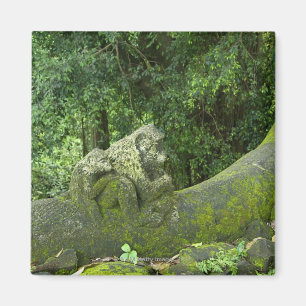 Statues in Ubud Monkey Forest Magnet