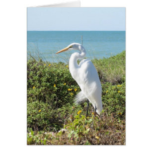 Statuesque Heron
