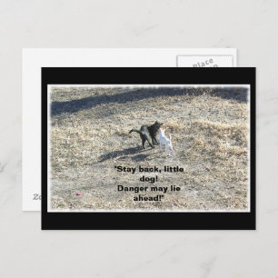 Stay Back Little Dog Postcard