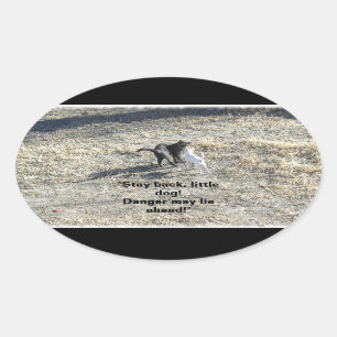 Stay Back Little Dog Stickers