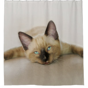 Stay Cool and Chill Out Kitten Shower Curtain
