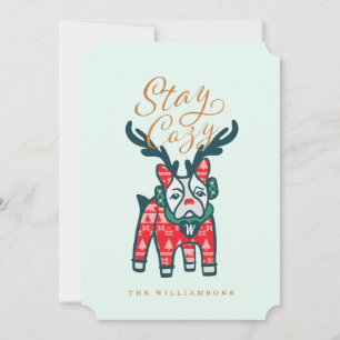 Stay Cosy   French Bulldog Reindeer Christmas Holiday Card