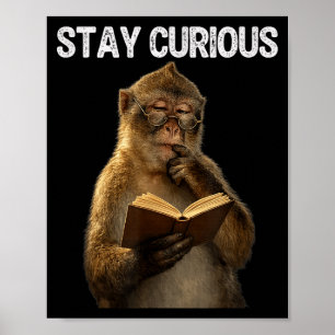 Stay curious funny monkey bookworm reading book poster