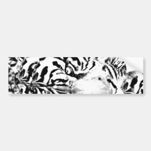Stay Focused#5_ Bumper Sticker