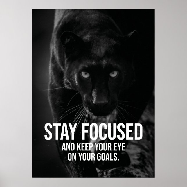 Stay Focused - Hustle, Workout, Success - Panther  Poster (Front)