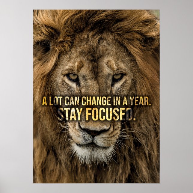 Stay Focused, Lion, new year's resolution Poster (Front)