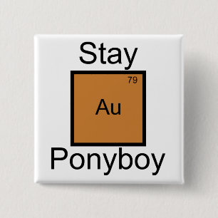 Stay Gold Ponyboy Element Pun 15 Cm Square Badge