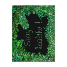 Stay healthy with green Ivy