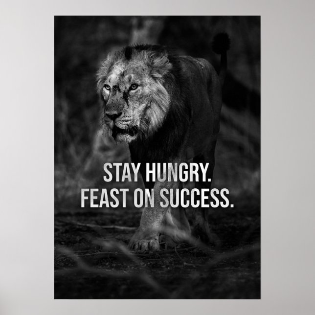 Stay Hungry, Feast On Success , Lion - Motivation Poster (Front)
