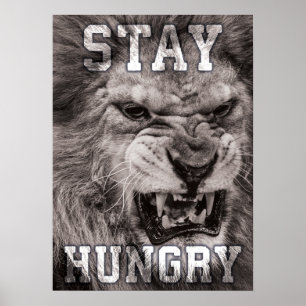 Stay Hungry, Lion, Hustle, Gym, Success Motivation Poster