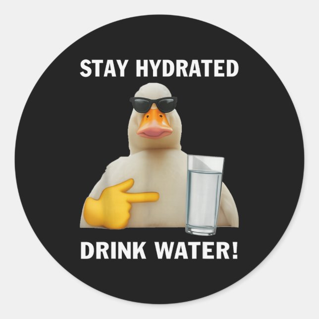 Stay Hydrated Drink Water Funny Meme Duck  Classic Round Sticker (Front)