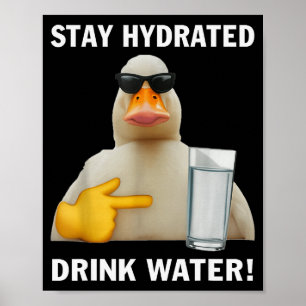 Stay Hydrated Drink Water Funny Meme Duck  Poster