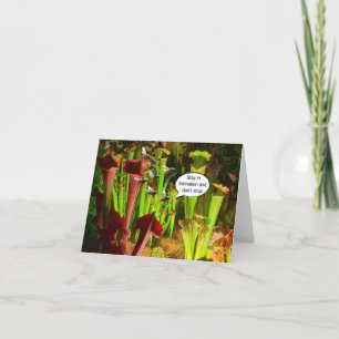 Stay in formation. card