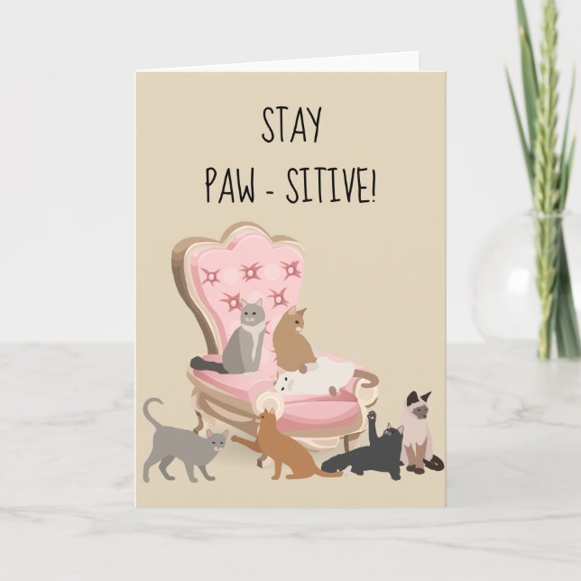 Stay Paw-sitive Positive Funny Cat Thinking of You Card (Front)