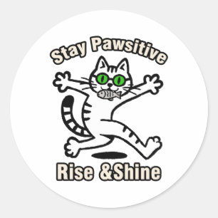 Stay Pawsitive Cat Classic Round Sticker