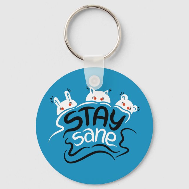 Stay Sane Funny Madness Typography Key Ring (Front)