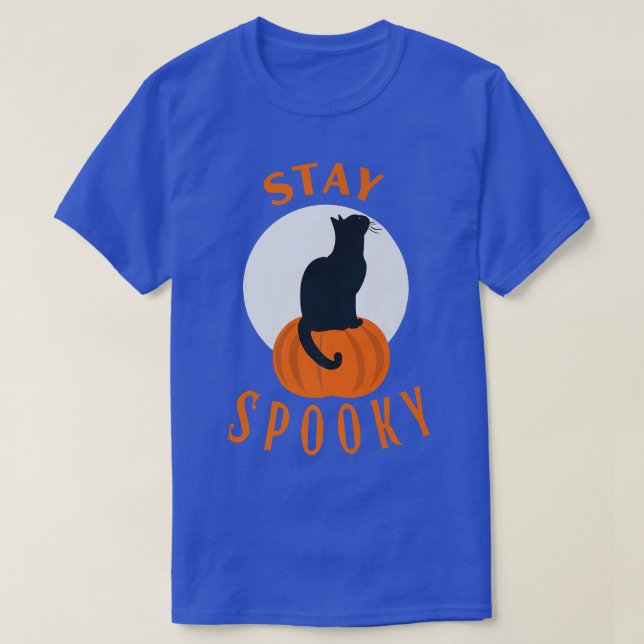 Stay Spooky Cute Black Cat Sit on Pumpkin Hallowee T-Shirt (Design Front)