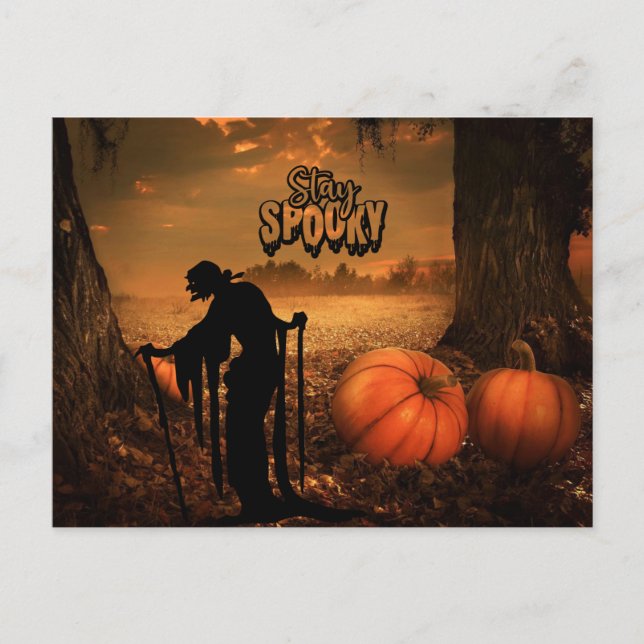 Stay Spooky Halloween Night Old Witch, Pumpkins Postcard (Front)