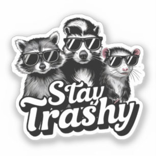 Stay Trashy Racoon Opossum Sunglasses Art