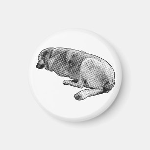 Staying Exactly Like This Magnet