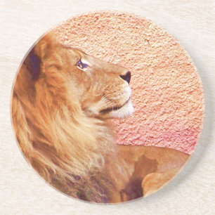 Staying Focused_ Coaster