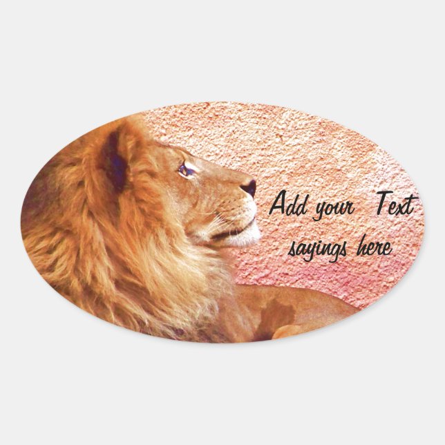 Staying Focused_ Oval Sticker (Front)