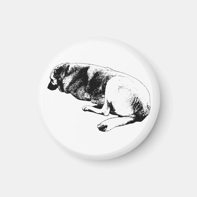 Staying Right Here Magnet (Front)