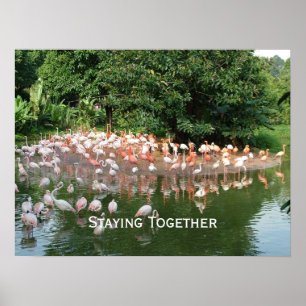 staying together poster