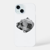 Steady Bulldog Warmth