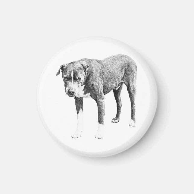Steady Gaze Fridge Magnet (Front)