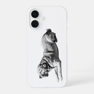 Steady Gaze – Labrador Poise iPhone 16 Case