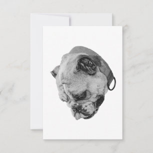 Steady Kind Warmth Thank You Card