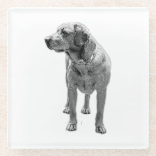 Steady Paws, Steady Cup Glass Coaster
