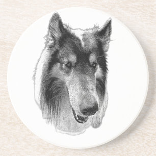 Steady Surface – Collie Coaster