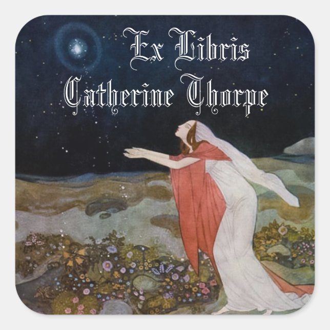 Stealers of Light Bookplate Sticker (Front)