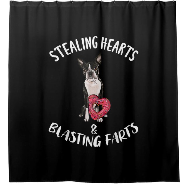 Stealing Hearts Blasting Farts Boston Terrier Shower Curtain (Front)