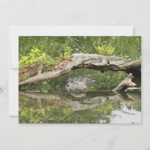 Stealth Alligator Flat Card