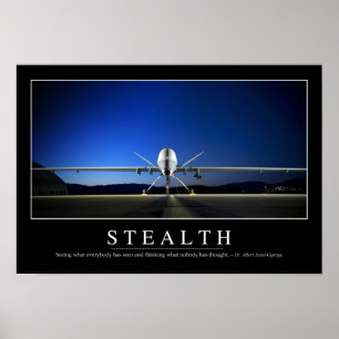 Stealth: Inspirational Quote Poster