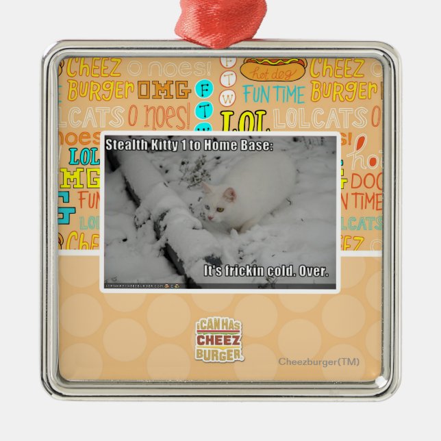 Stealth Kitty 1 Metal Ornament (Front)