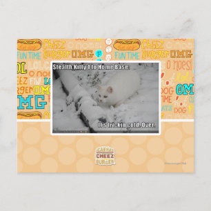 Stealth Kitty 1 Postcard