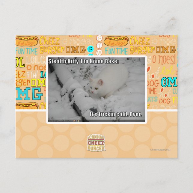 Stealth Kitty 1 Postcard (Front)