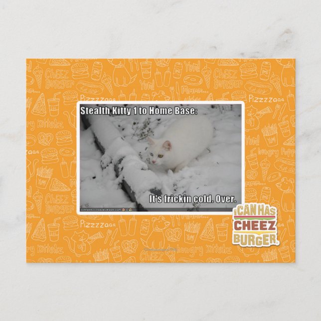 Stealth Kitty 1 Postcard (Front)
