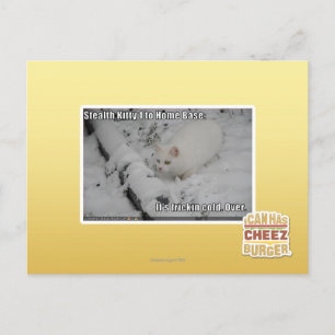Stealth Kitty 1 Postcard