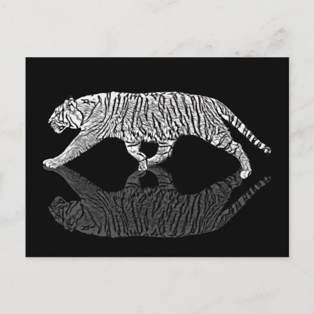 STEALTH TIGER POSTCARD (Front)