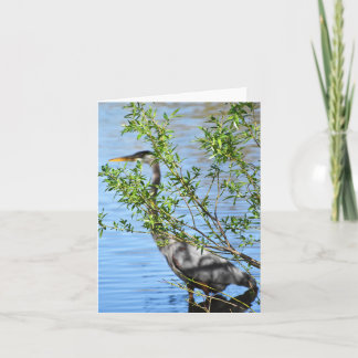 Stealthy (Great Blue Heron #2) - Blank Note Card