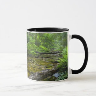 Steam In Forest, The Knysna-Amatole Montane Mug