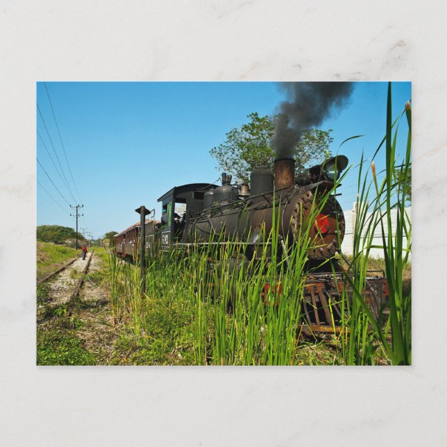 Steam Locomotive in high grass Postcard (Front)