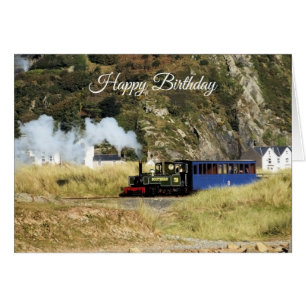 STEAM TRAIN