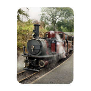 STEAM TRAIN MAGNET